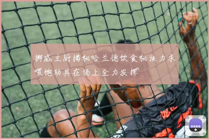 挪威主厨揭秘哈兰德饮食秘诀力求喂饱助其在场上全力发挥