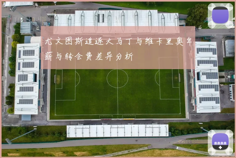 尤文图斯追逐大马丁与维卡里奥年薪与转会费差异分析
